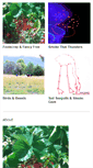 Mobile Screenshot of grand-prismatic.bandcamp.com