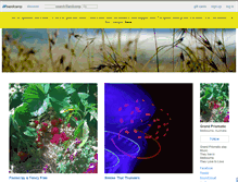 Tablet Screenshot of grand-prismatic.bandcamp.com