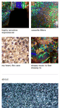 Mobile Screenshot of fattransfer.bandcamp.com