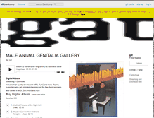 Tablet Screenshot of gatnoise.bandcamp.com