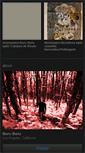 Mobile Screenshot of boruboru.bandcamp.com