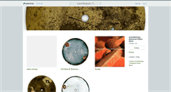 Desktop Screenshot of animateddog.bandcamp.com