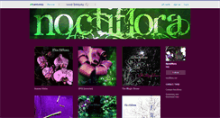 Desktop Screenshot of noctiflora.bandcamp.com