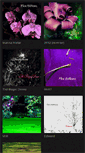 Mobile Screenshot of noctiflora.bandcamp.com