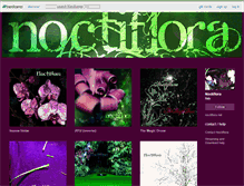 Tablet Screenshot of noctiflora.bandcamp.com