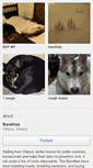 Mobile Screenshot of banditas.bandcamp.com