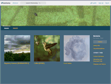Tablet Screenshot of bardamu.bandcamp.com