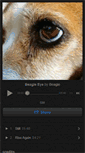Mobile Screenshot of beagle.bandcamp.com