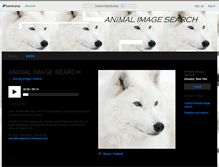 Tablet Screenshot of animalimagesearch.bandcamp.com